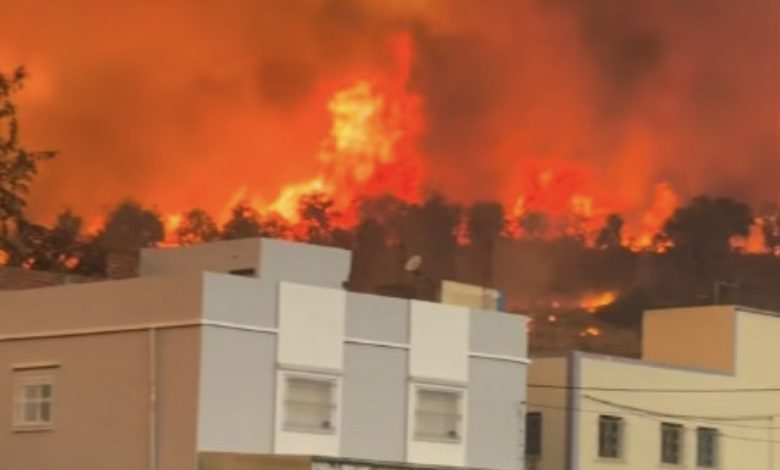 جهود مكثفة لاحتواء حريق غابوي مهول أتى على مساحات شاسعة بإقليم شفشاون