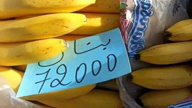 أزمة الغلاء تختبر قدرة المواطن: أسعار الموز تشتعل في أسواق الجزائر وطوابير الحليب تفضح فشل تدبير النظام الجزائري