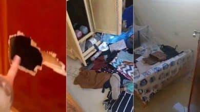 تفكيك عصابة إجرامية روعت سكان بني بوعياش والحسيمة على خلفية سلسلة سرقات