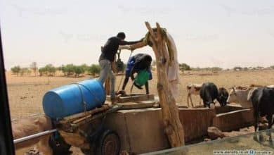 أزمة العطش في موريتانيا: رحلة البحث عن قطرة ماء في ظل ضعف البنية التحتية