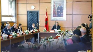 ورش الحماية الاجتماعية في “مالية 2027”: إجراءات جديدة لخفض أسعار الأدوية ودعم الباحثين عن شغل