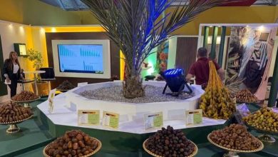 إشادة دولية واسعة بالتمور المغربية في ختام المعرض الدولي بأرفود
