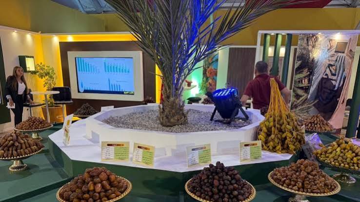 إشادة دولية واسعة بالتمور المغربية في ختام المعرض الدولي بأرفود