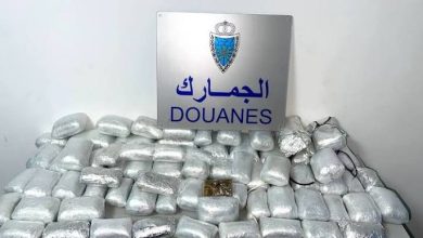 عناصر الجمارك بمدينة آسفي تحبط محاولة تهريب كميات كبيرة من مسحوق طابا المحظور