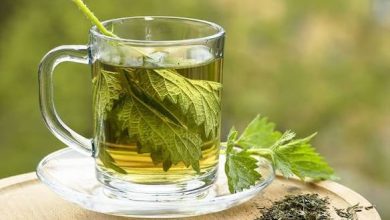مستخلصات نبات القراص اللاذع تظهر قوة فائقة ضد الأكسدة والالتهابات