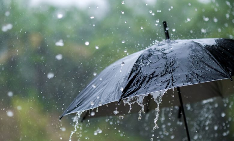 حالة الطقس بالمغرب.. توقعات بنزول قطرات مطرية وتشكل ضباب بعدد من مناطق المملكة