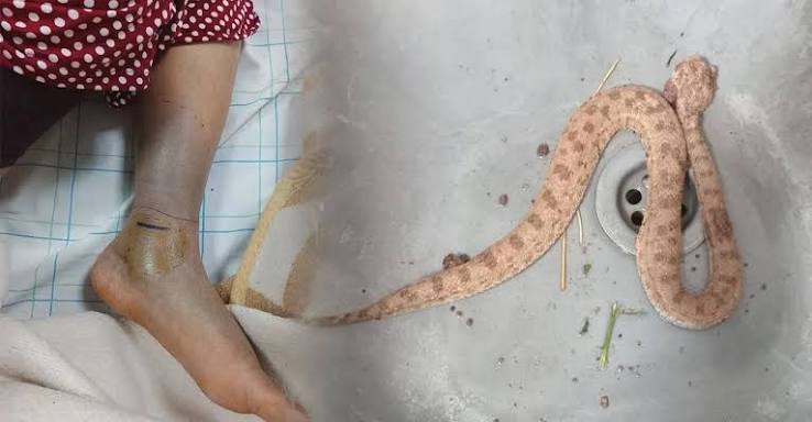 مأساة لدغة أفعى بطاطا تخرج نساء تيزكي للاحتجاج للمطالبة بتحسين الخدمات الصحية