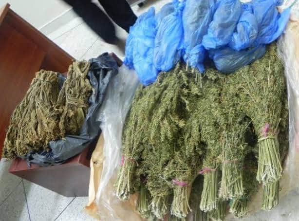عملية أمنية ناجحة للدرك الملكي تسفر عن حجز كميات ضخمة من المخدرات بغابة أدمين بإقليم إنزكان آيت ملول